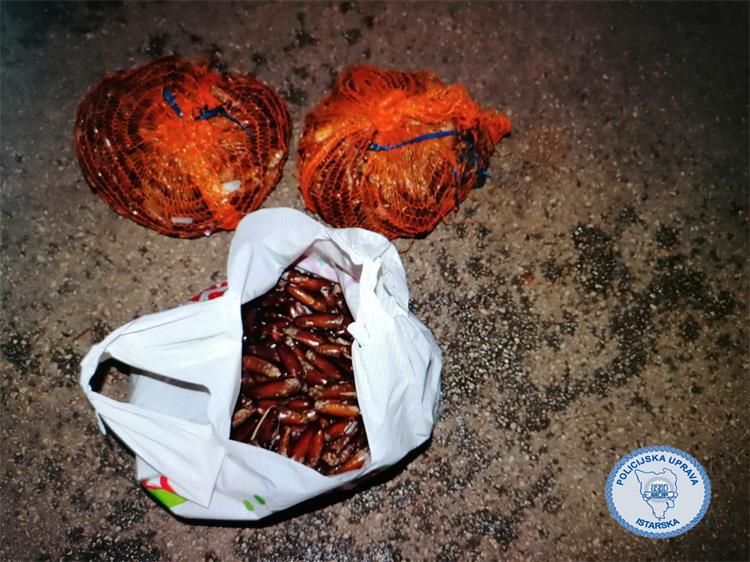 Slika /2024/prstaci Umag jpg.jpg